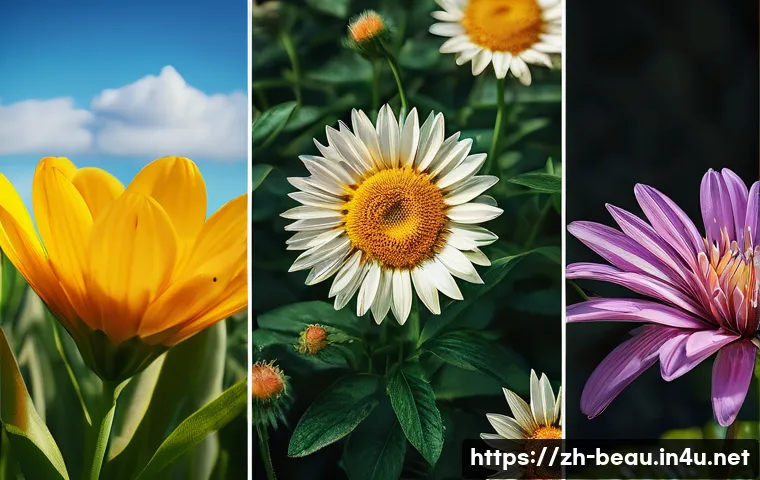 뷰티컨설턴트 실무 기술 발전 사례 연구 - Here are three detailed image prompts: